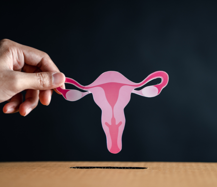 Manage your menstrual cycle with Omnicare Pharmacy's period delay service